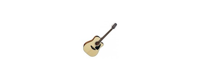 Guitares folks-électro
