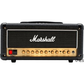 MARSHALL DSL20H