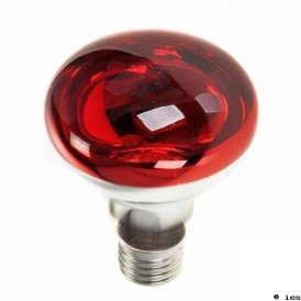 AMPOULE ROUGE