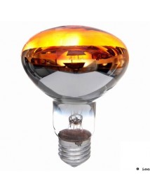 AMPOULE ORANGE