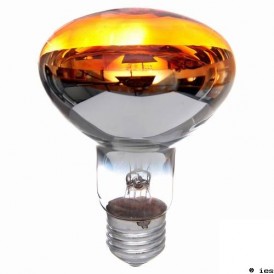 AMPOULE ORANGE