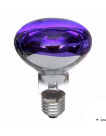 AMPOULE VIOLETTE