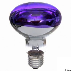 AMPOULE VIOLETTE
