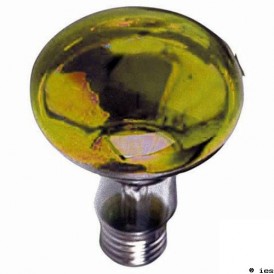 AMPOULE JAUNE