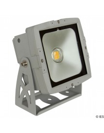BRITEQ LDP COBWASH 50CW