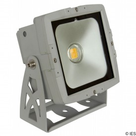 BRITEQ LDP COBWASH 50CW