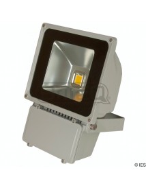 BRITEQ LDP FLOOD80 WW