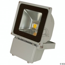 BRITEQ LDP FLOOD80 WW