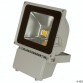 BRITEQ LDP FLOOD80 WW