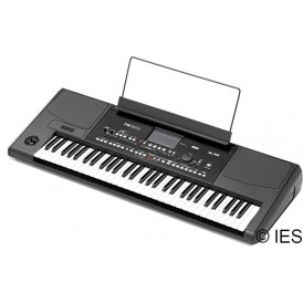 KORG PA300