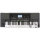 KORG PA300
