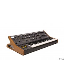 MOOG SUBSEQUENT 37