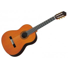 YAMAHA GC22C