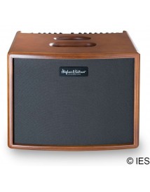 HUGHES & KETTNER ERA1 WOOD