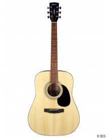 CORT 810 OP
