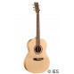 NORMAN ENCORE B20