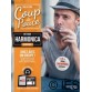 COUP DE POUCE DEBUTANT HARMONICA