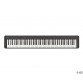 CASIO CDPS100