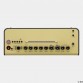 YAMAHA THR10II