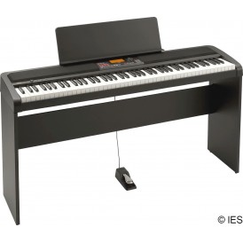 KORG XE20 SP