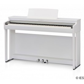KAWAI CN29W