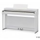 KAWAI CN29W