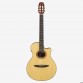 YAMAHA NTX5