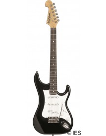 WASHBURN S1BA