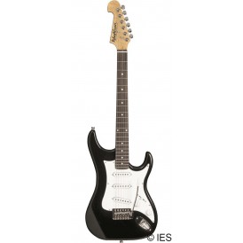 WASHBURN S1BA