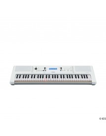 YAMAHA EZ300
