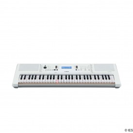YAMAHA EZ300