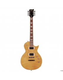 LTD EC256 VN