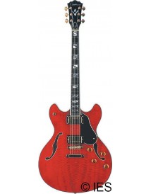 WASHBURN HB35WR
