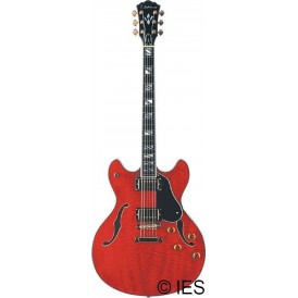 WASHBURN HB35WR