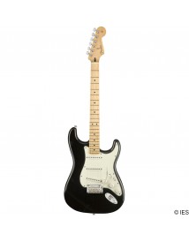FENDER PLAYER STRATOCASTER PF BLK