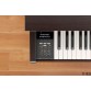 KAWAI CN39B