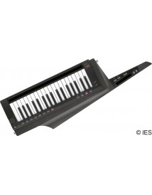 KORG RK100S2