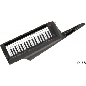 KORG RK100S2