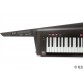 KORG RK100S2