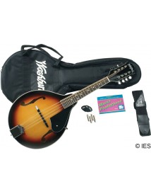 WASHBURN M1K