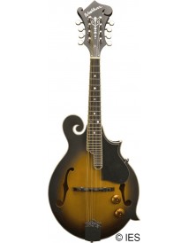 WASHBURN M3EK