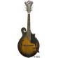 WASHBURN M3EK