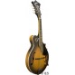 WASHBURN M3EK