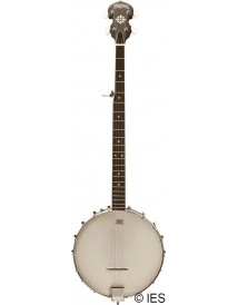 WASHBURN B7