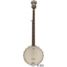 WASHBURN B7