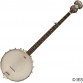 WASHBURN B7