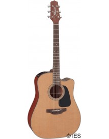 TAKAMINE P1DC
