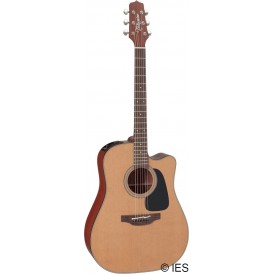 TAKAMINE P1DC