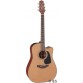 TAKAMINE P1DC