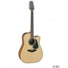 TAKAMINE GD10CENS